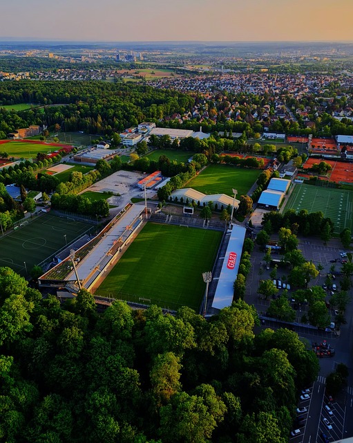 它更代表了 它更代表了