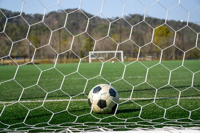 国队的卓越 国队的卓越