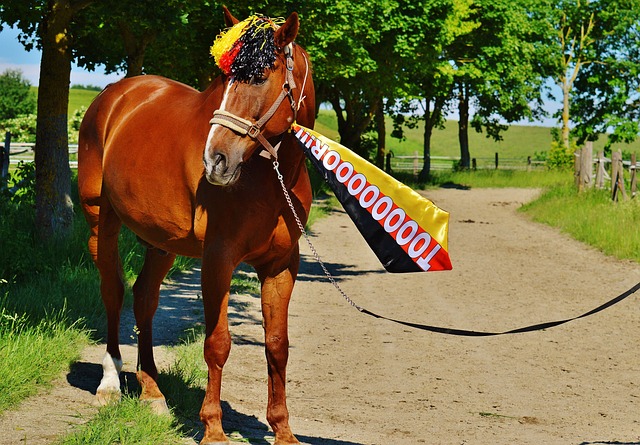 缩小联赛中 缩小联赛中